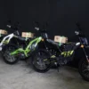Surron Light Bee L1E